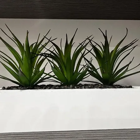 Cendream Appartamento *